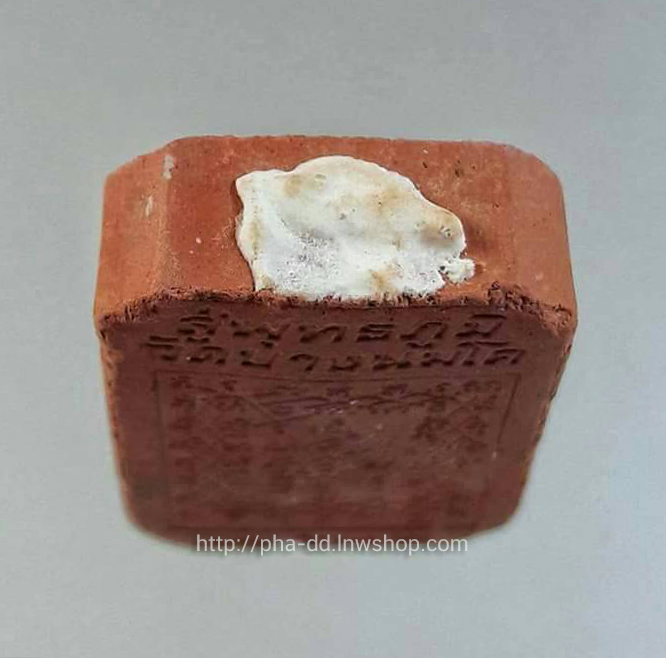 พระหลวงพ่อปานขี่นก วัดบางนมโค รุ่นสู่พุทธภูมิ ปี 36