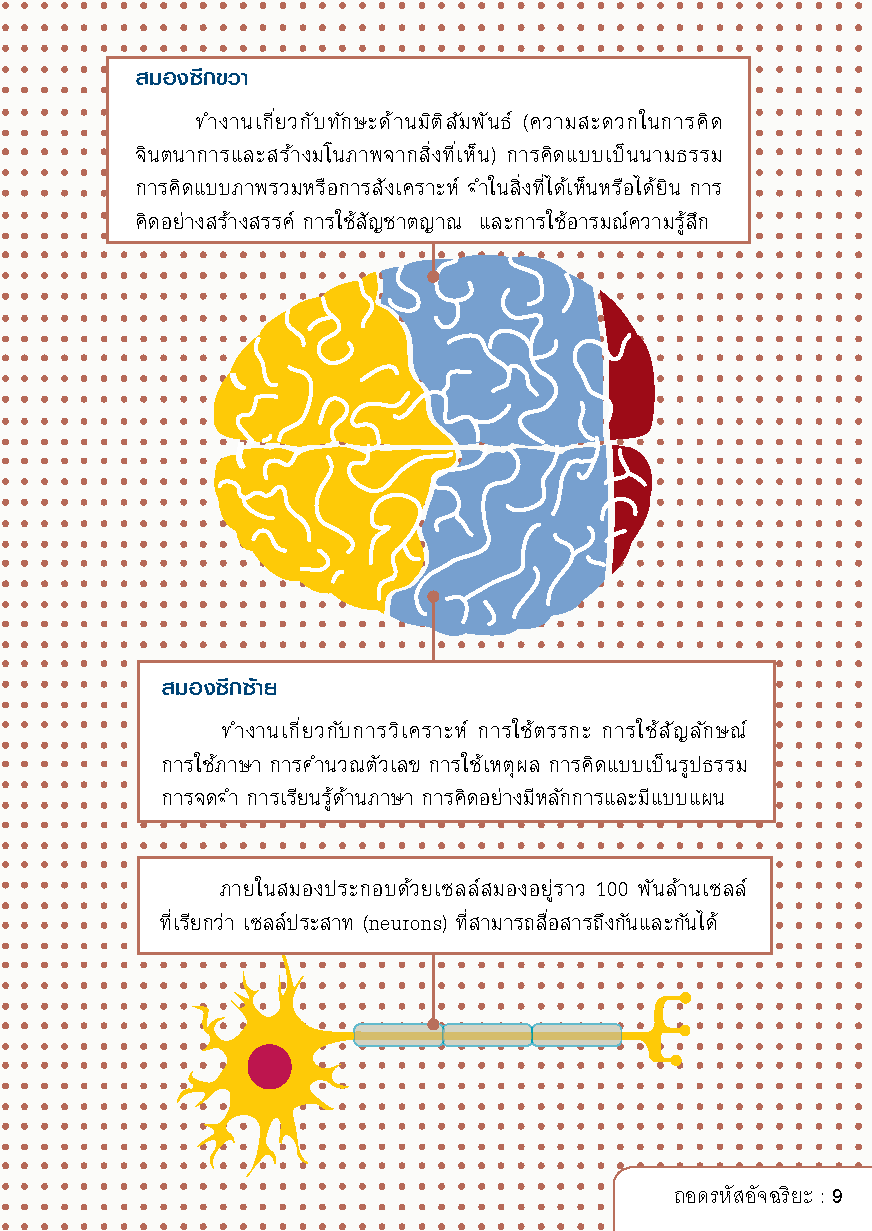 Expernet หนังสือ ถอดรหัสอัจฉริยะ [ เกรด B หนังสือมีตำหนิ ]