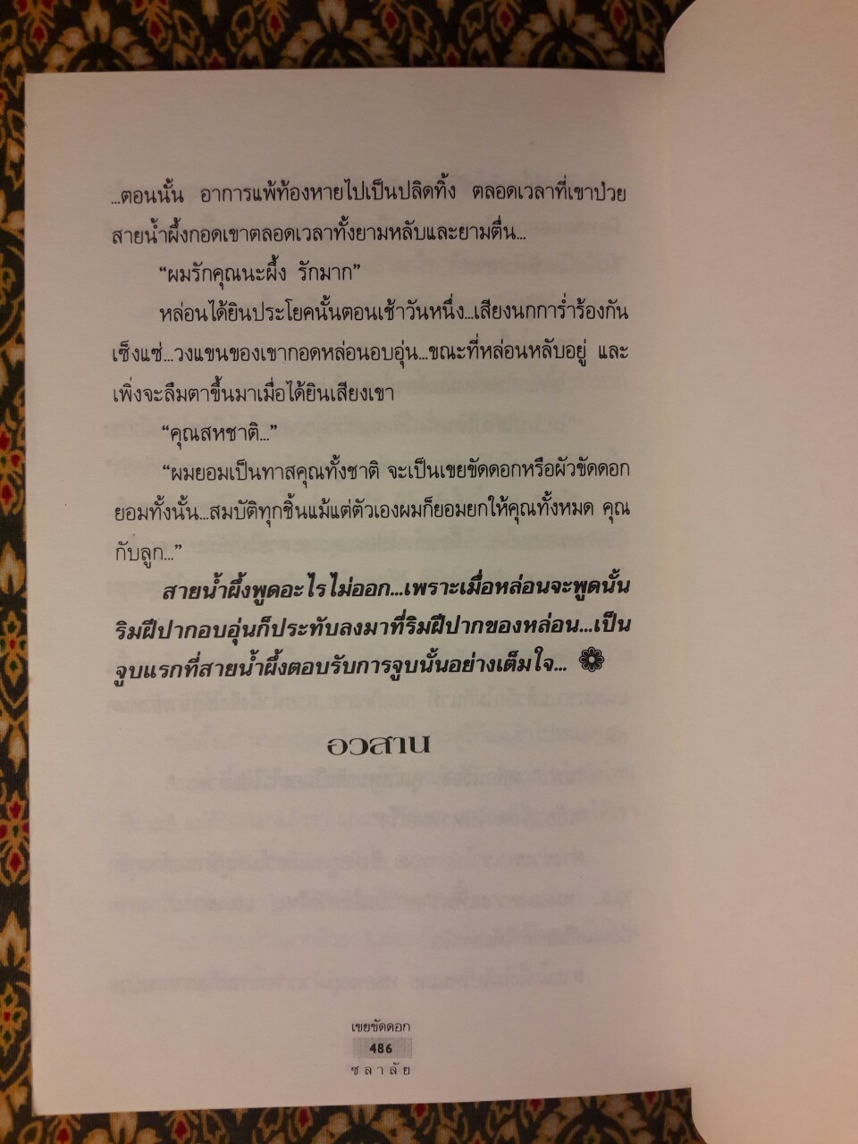 เขยขัดดอก (2 เล่มจบ)