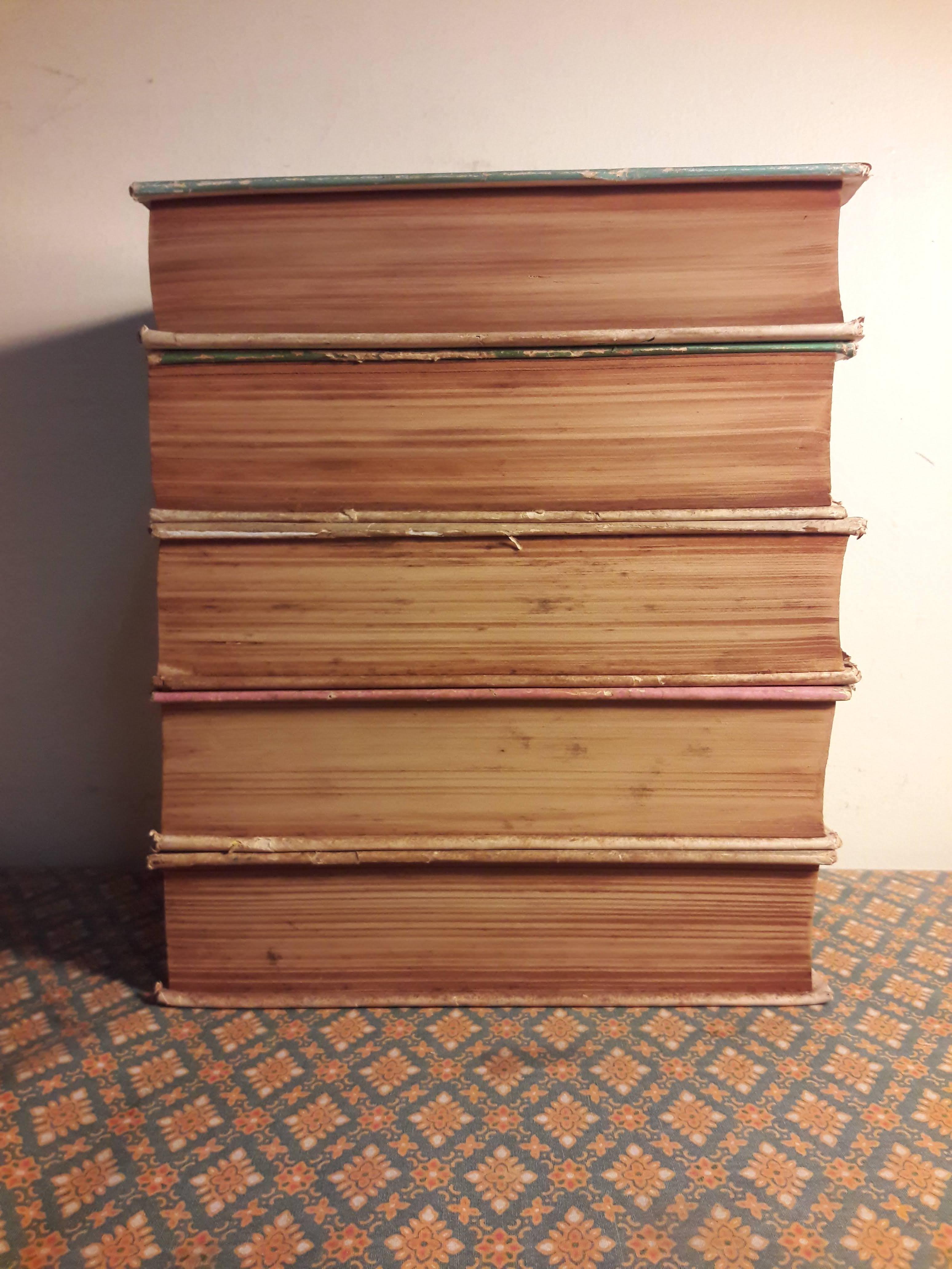 ระย้า (5 เล่มจบ)