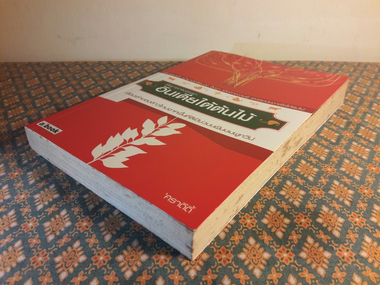 Santiniketan อินเดียใต้ต้นไม้