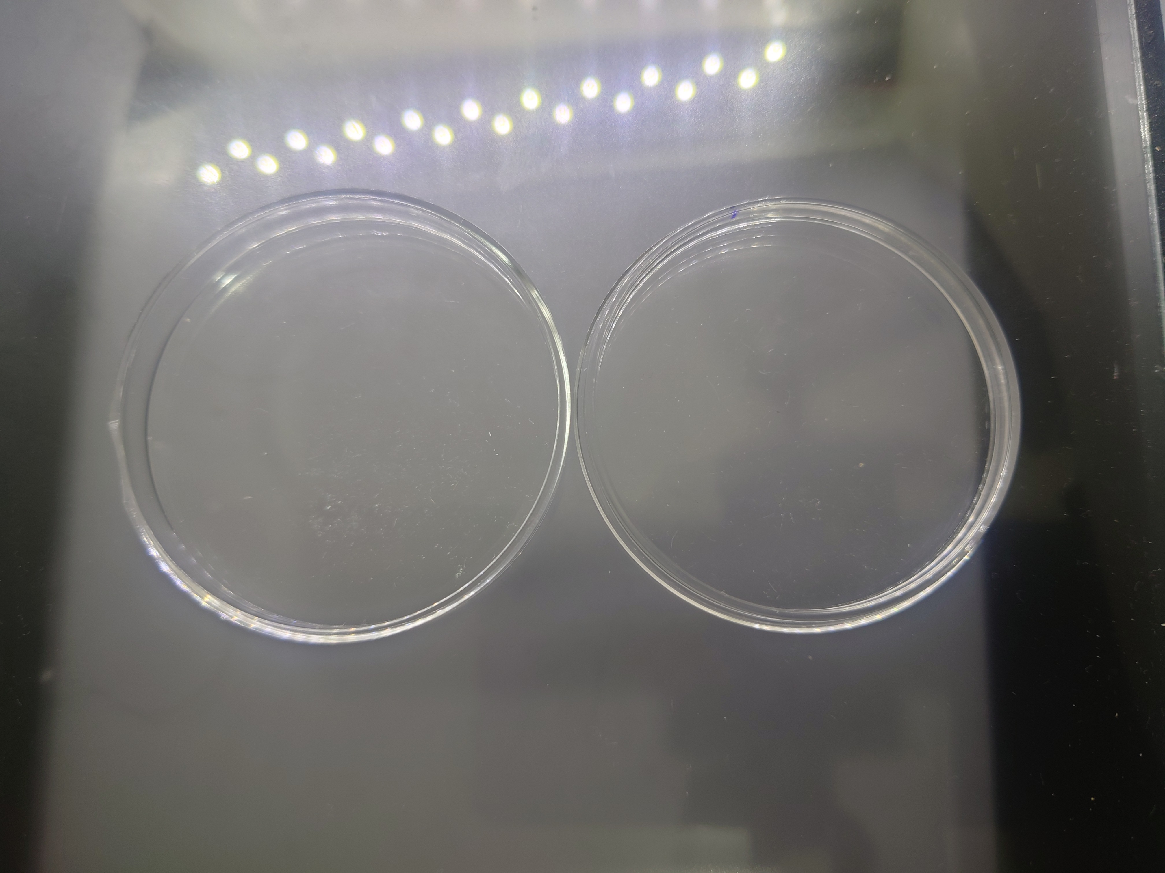 ตลับใส่เหรียญ ขนาด 5 เซ็น เนื้ออะคริลิค อย่างดี