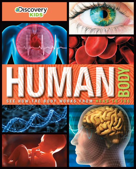 DISCOVER: HUMAN BODY