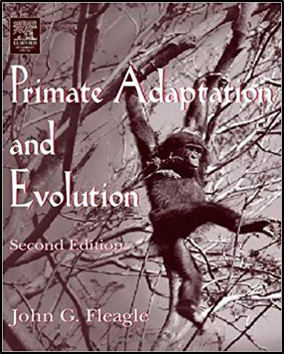 Primate Adaptation and Evolution ISBN 9780122603419