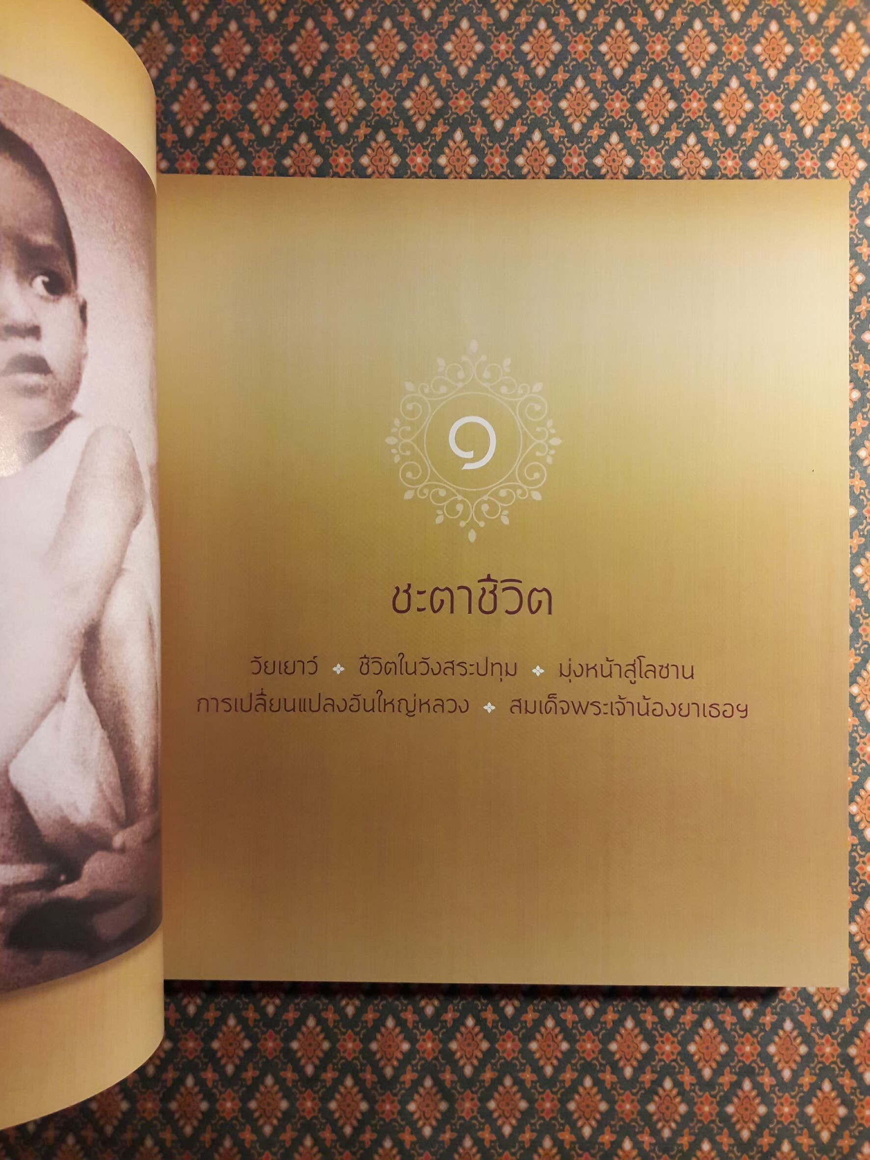 แสงแห่งแผ่นดิน