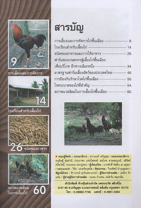 ไก่พื้นเมือง