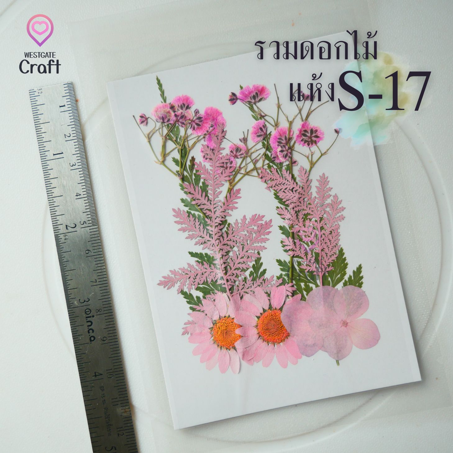 รวมดอกไม้แห้ง S ดอกไม้แห้งทับ ดอกไม้แบบคละ