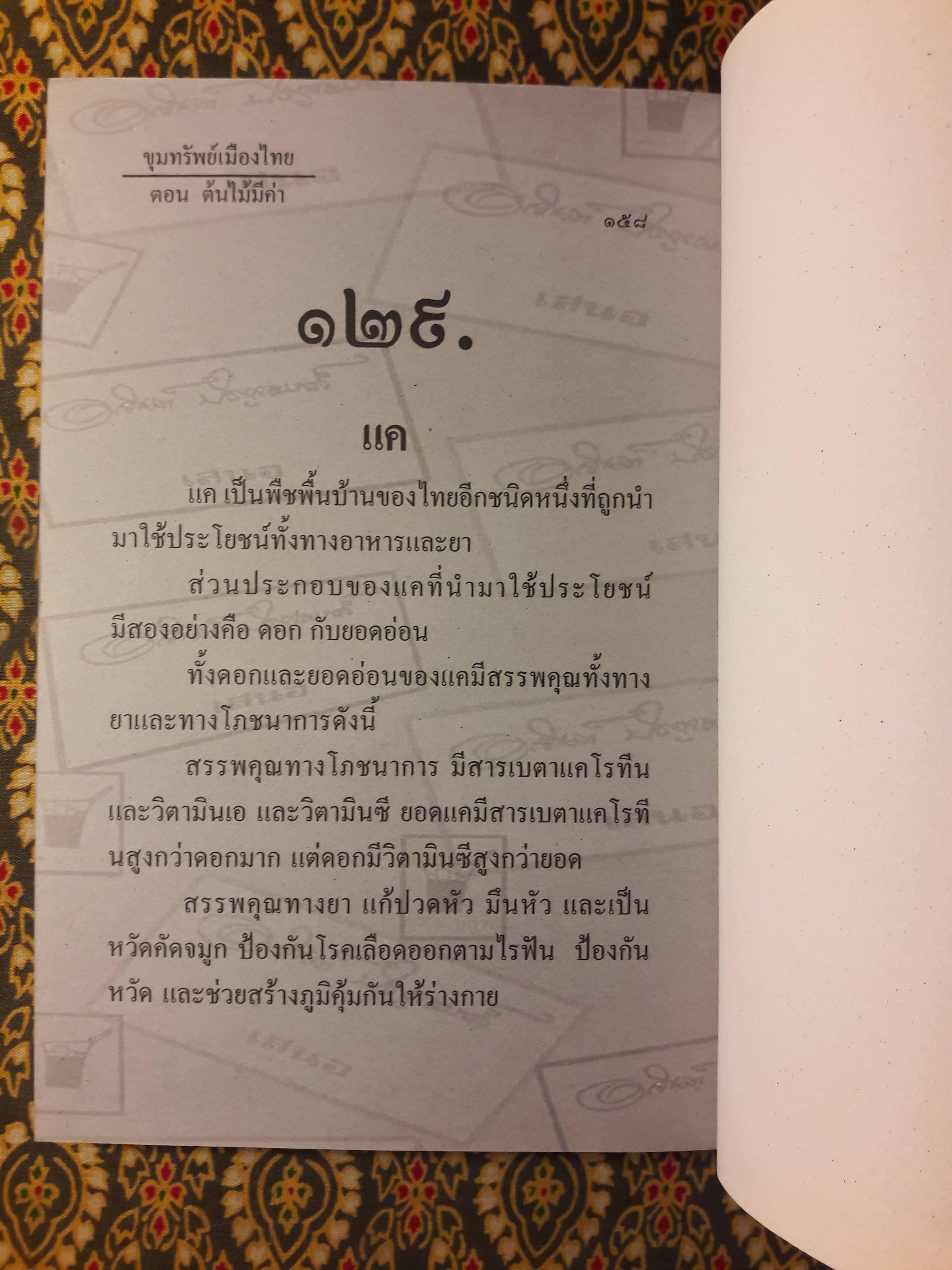 ขุมทรัพย์เมืองไทย ตอนต้นไม้มีค่า