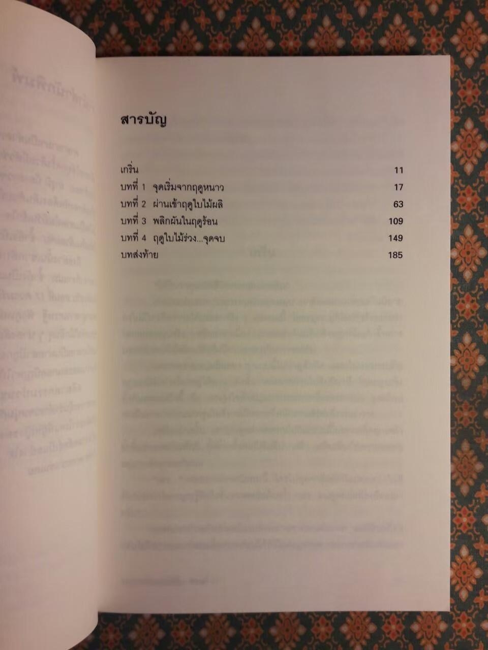 มิเกะเนะโกะ โฮล์มส์ แมวสามสียอดนักสืบ ตอนที่ 17 ความรักของสาว 4 ฤดู