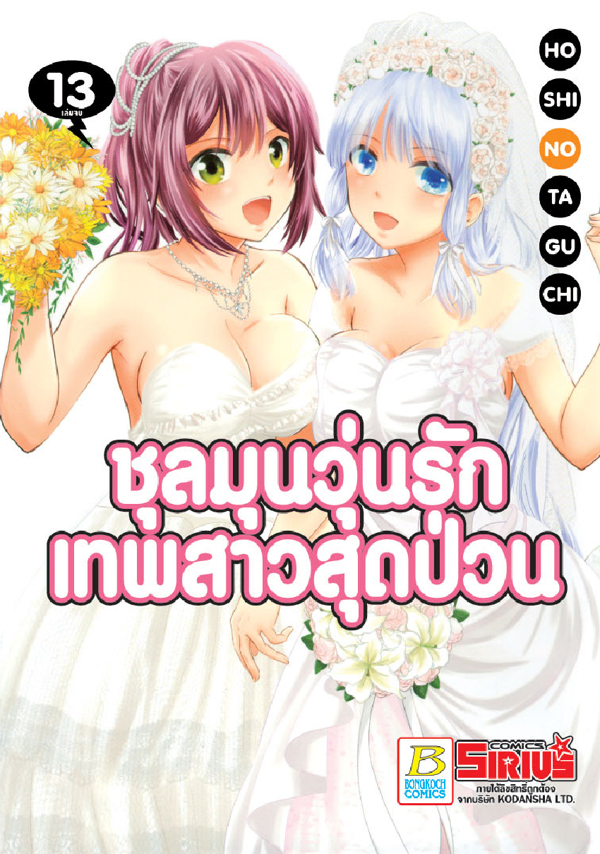 ชุลมุนวุ่นรักเทพสาวสุดป่วน เล่ม 13 (เล่มจบ)