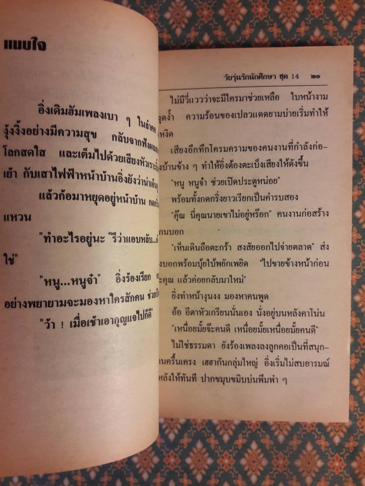 วัยรุ่นรักนักศึกษา ชุด 14
