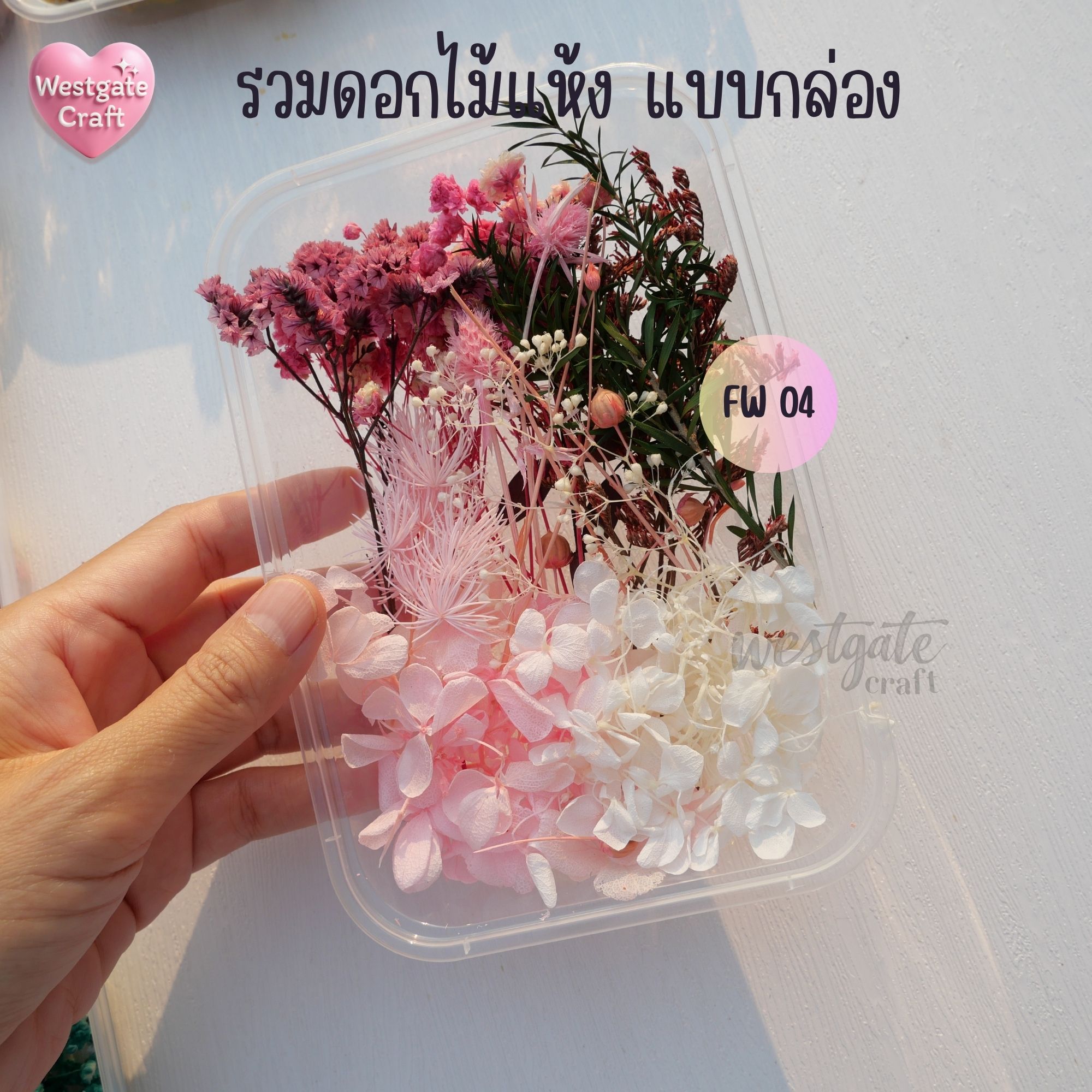 รวมดอกไม้แห้ง แบบกล่อง คละขนาด FW 01-09 , ดอกไม้แห้งจริง