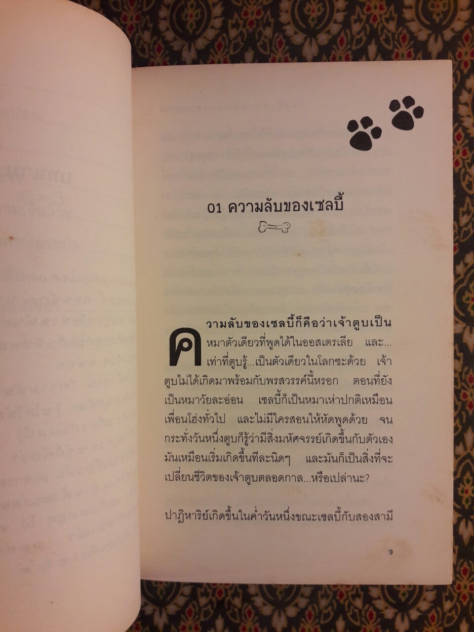 เซลบี้ ความลับของตูบพูดได้ Selby's Secret “หนังสือชนะเลิศรางวัลเกียรติยศ West Australian Young Readers' Book Award”