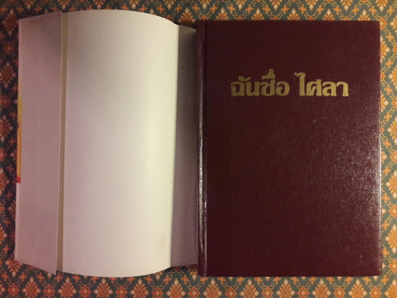 ฉันชื่อไศลา (2 เล่มจบ)