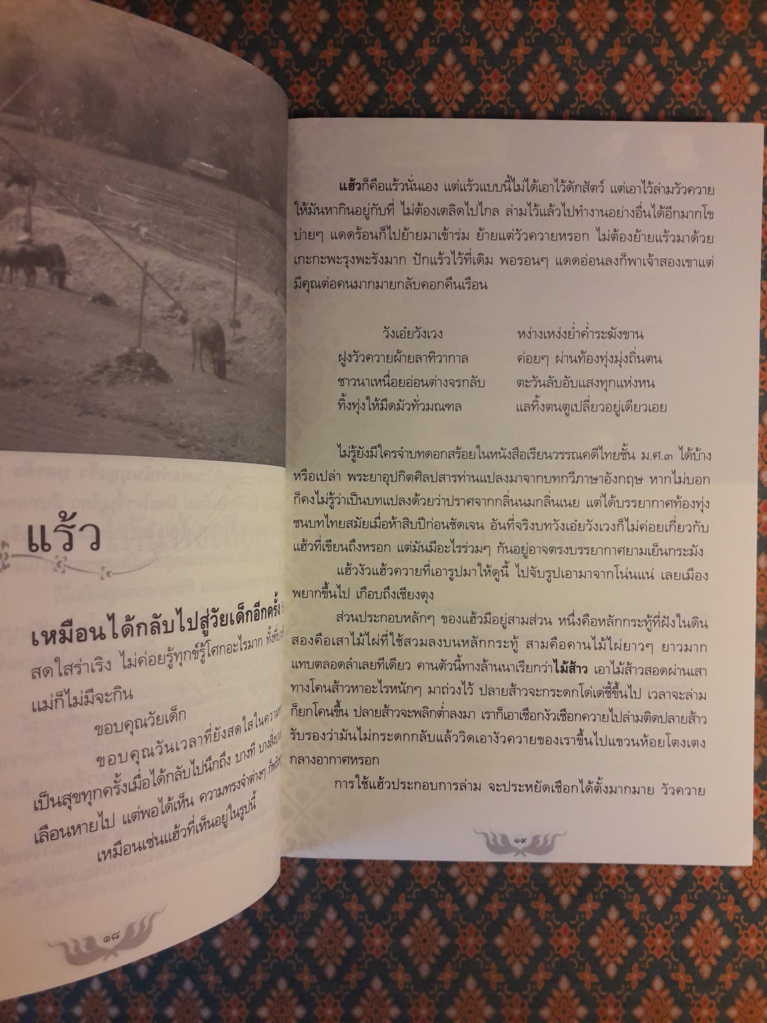 ร่มเรือนกาแล