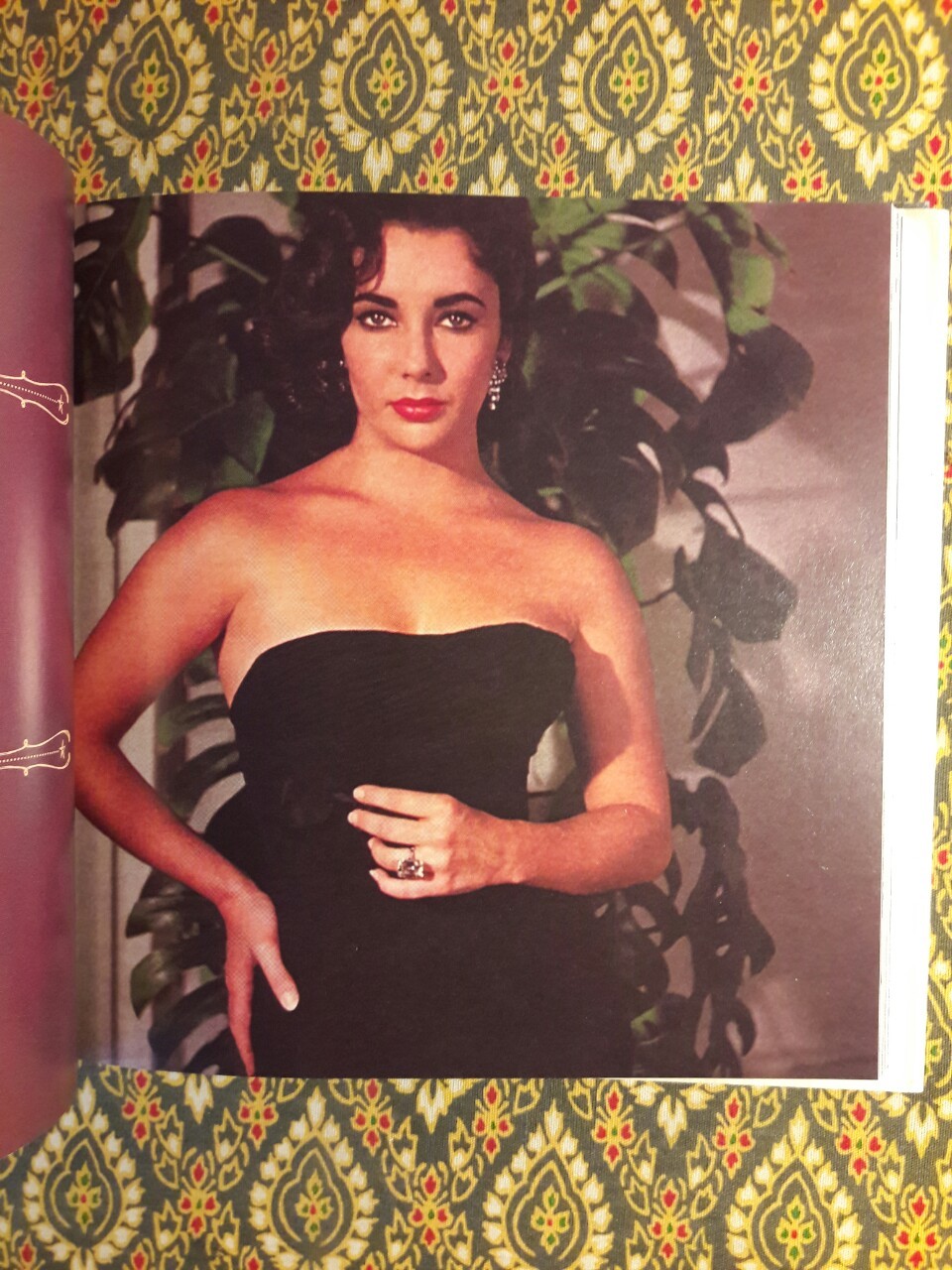 Elizabeth Taylor: A Loving Tribute