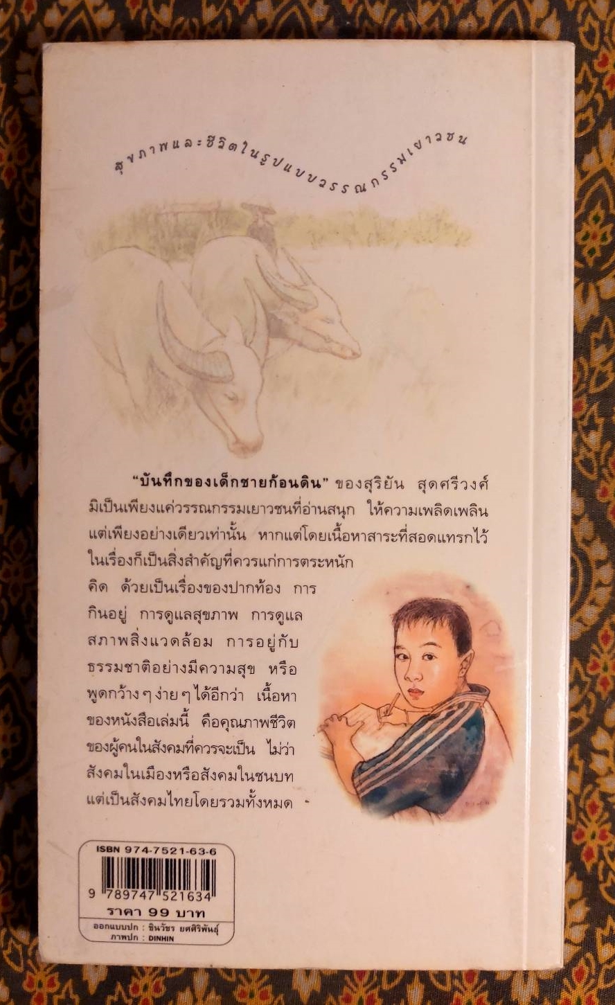บันทึกของเด็กชายก้อนดิน