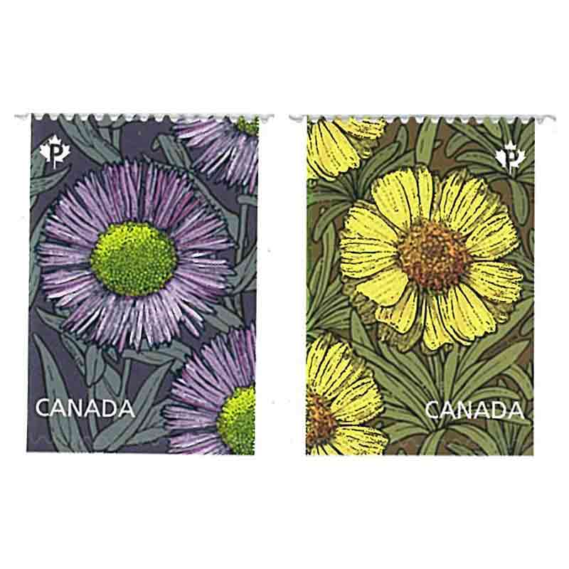 Canada Stamp, 2017 Daisies