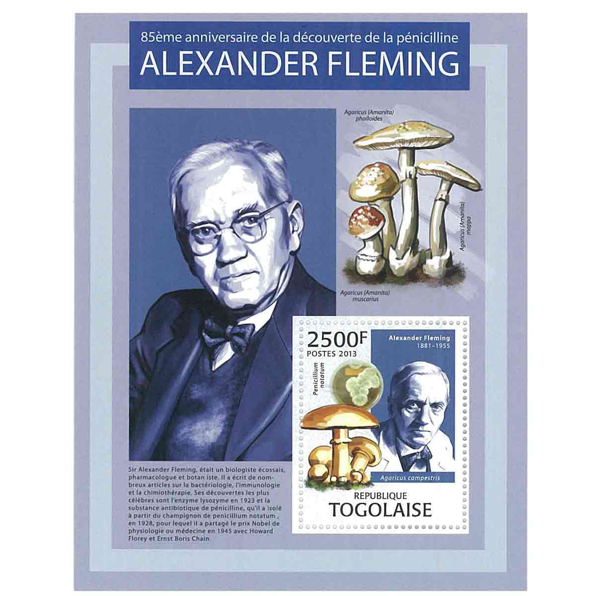 Togo Stamp, 2013 85th Anniversary of Fleming's Discovery of Penicillin S/S