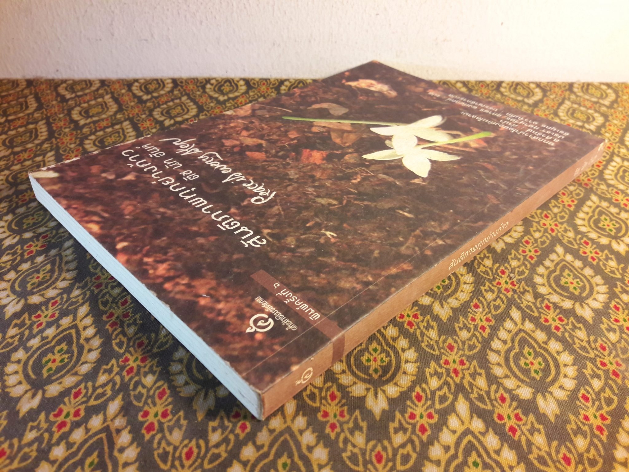 สันติภาพทุกย่างก้าว