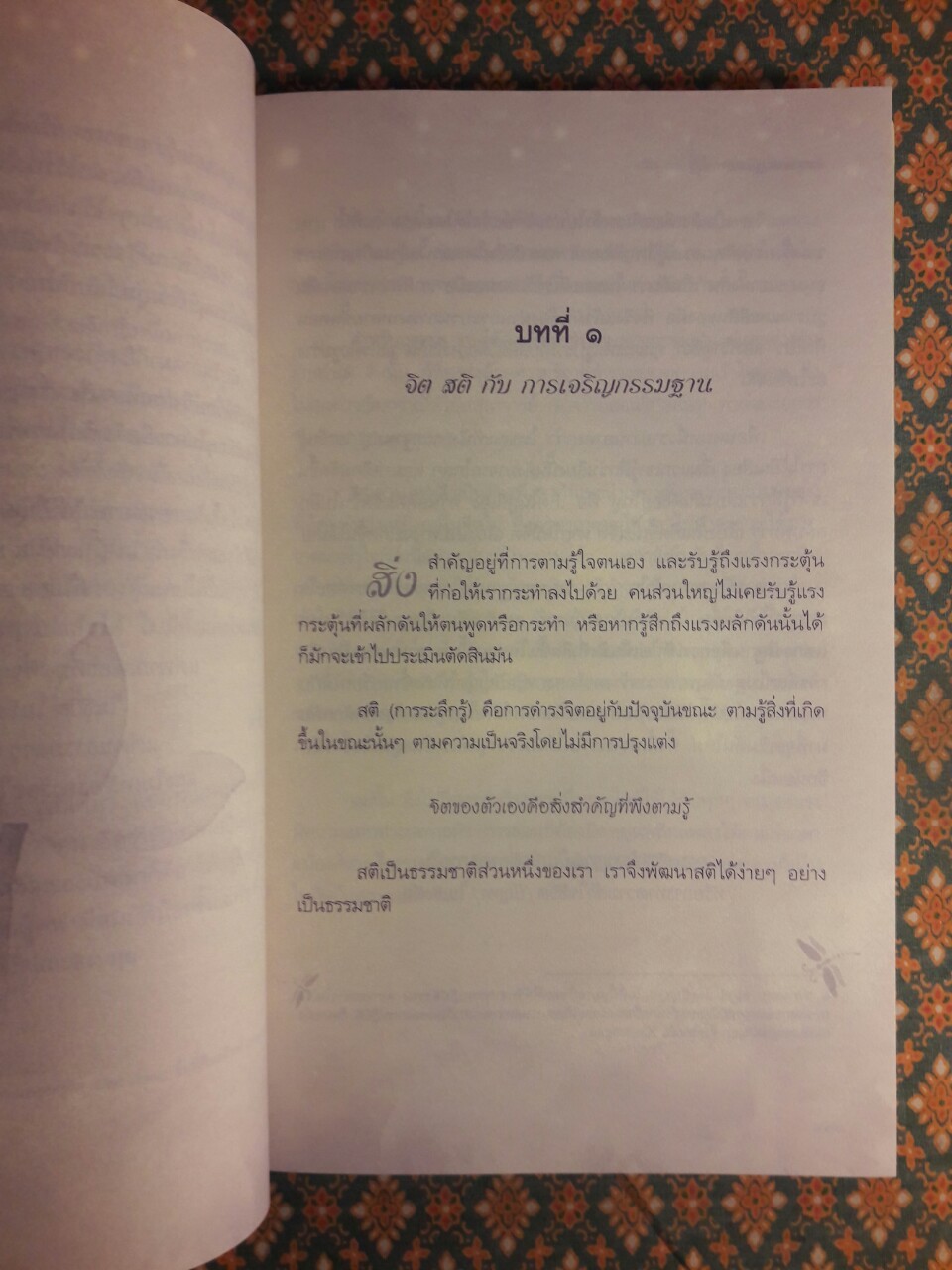 หิมะกลางฤดูร้อน Snow in The Summer