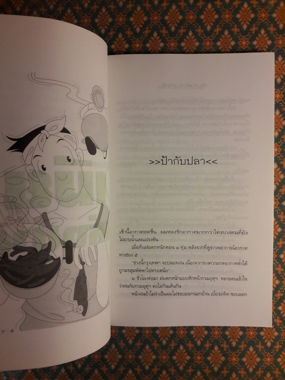 เมียแห่งชาติ