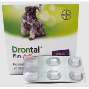 (1 แผง / 6 เม็ด) DRONTAL PLUS DOG ดรอนทัล พลัส ยาถ่ายพยาธิในทางเดินอาหารสำหรับสุนัข