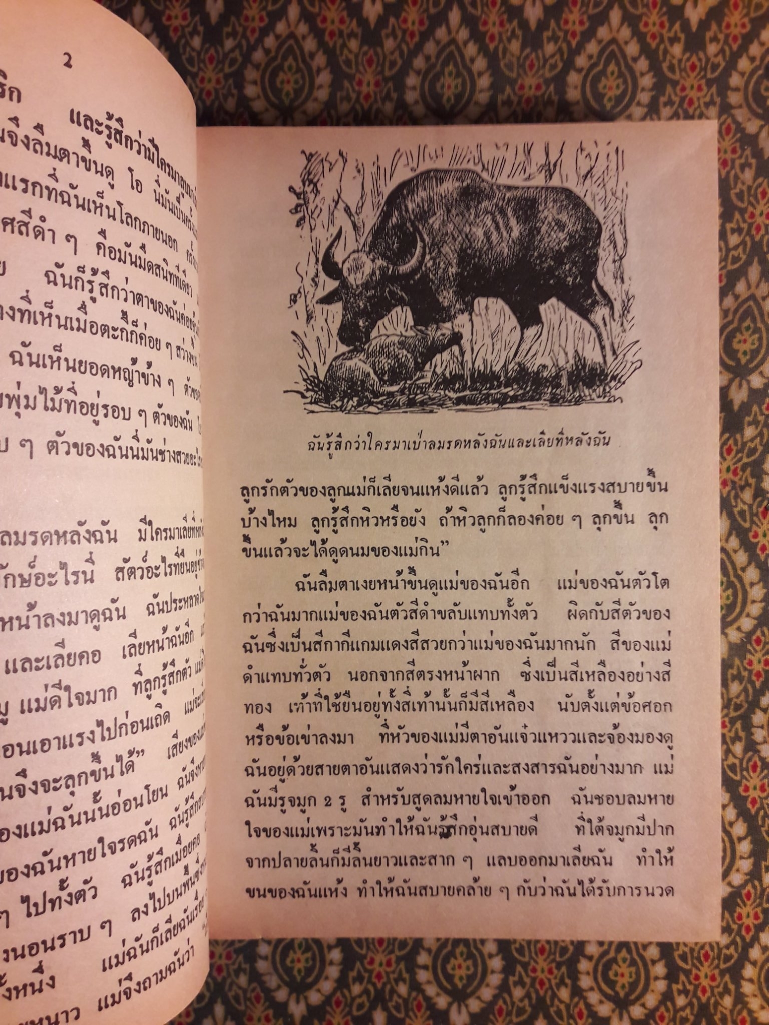 ชีวิตของฉันลูกกระทิง “หนังสือดี 100 ชื่อเรื่อง ที่เด็กและเยาวชนไทยควรอ่าน”