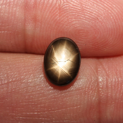 แบล็คสตาร์ซัฟไฟร์ (Black Star Sapphire) 2.54 กะรัต พลอยสด ไม่เผา