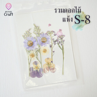 รวมดอกไม้แห้ง S ดอกไม้แห้งทับ ดอกไม้แบบคละ