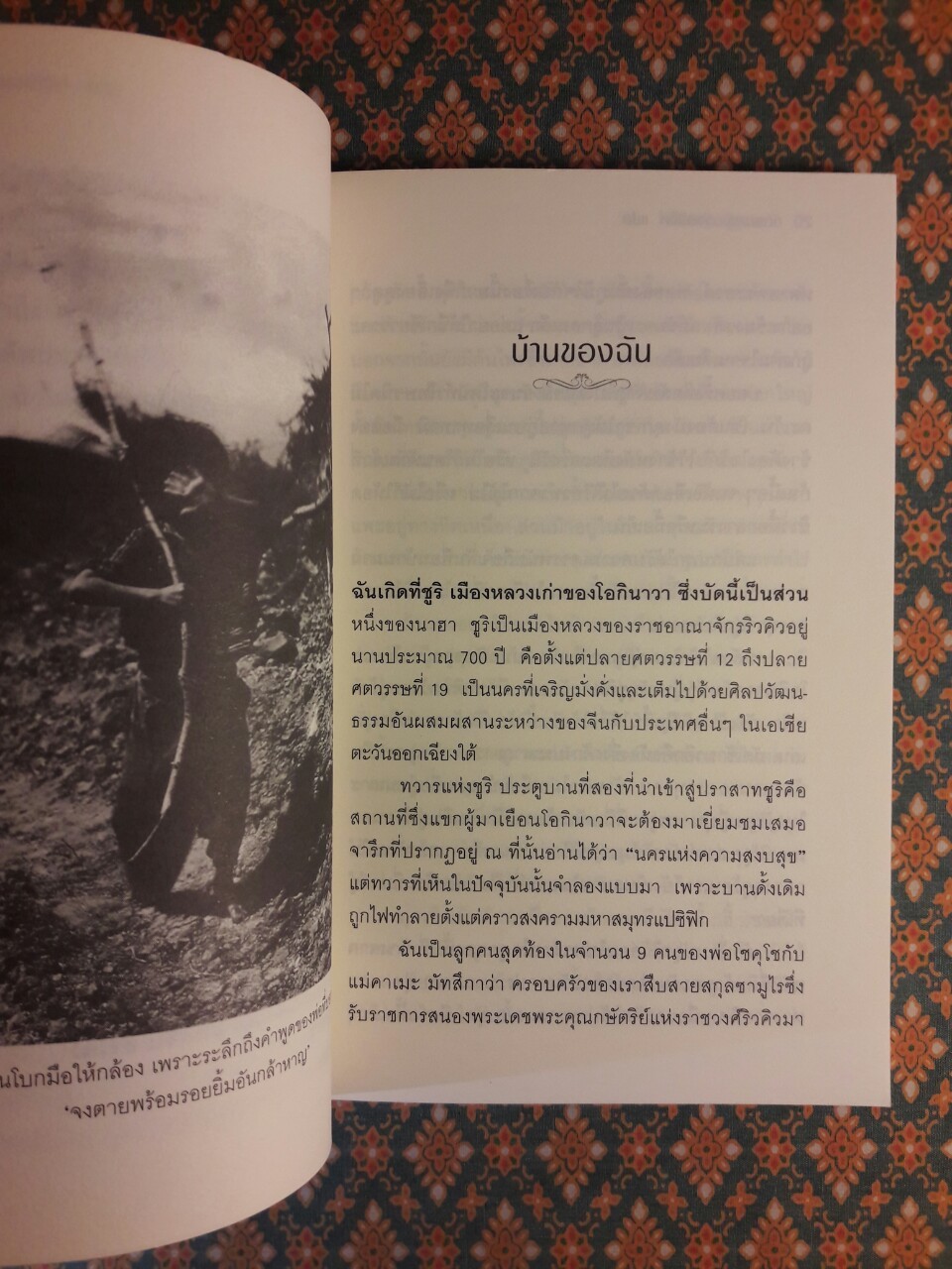 เด็กหญิงผู้ชูธงขาว The Girl with The White Flag