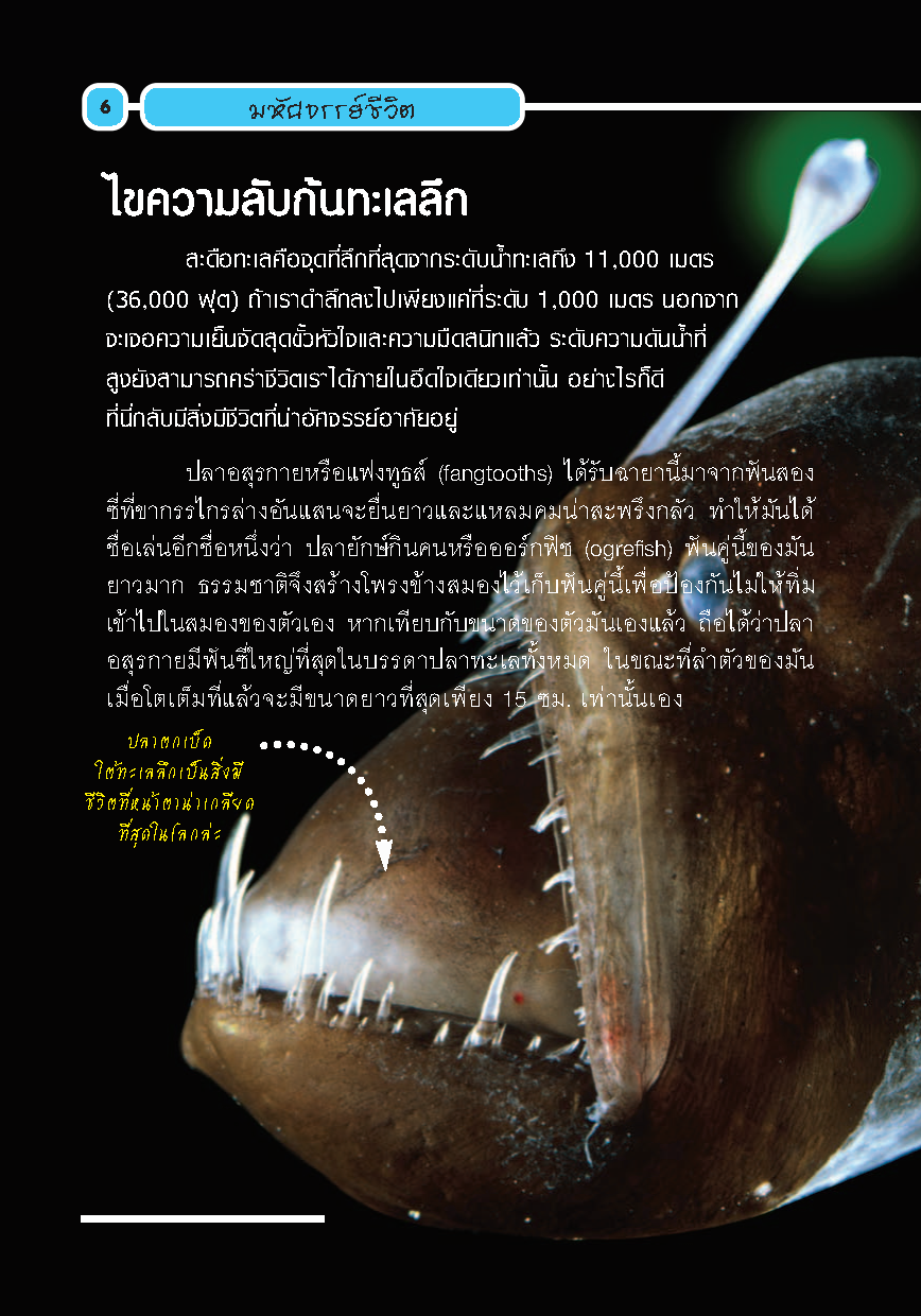 Expernet หนังสือ อย่างนี้ก็มีด้วย [ *** มีตำหนิ *** ] : ปรากฏการณ์พิสดารพันลึกที่เกิดขึ้นแล้วจริงๆบนโลกใบนี้ พร้อมการทดลองวิทยาศาสตร์ที่ทำให้คุณต้องอึ้ง