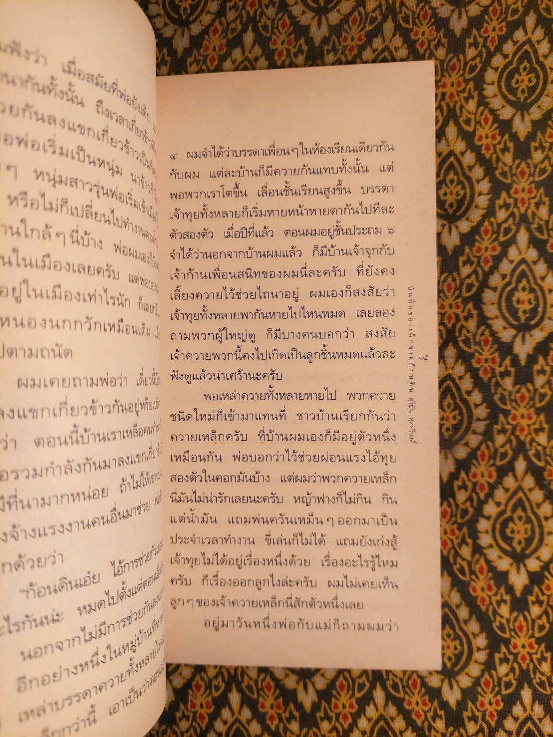 บันทึกของเด็กชายก้อนดิน