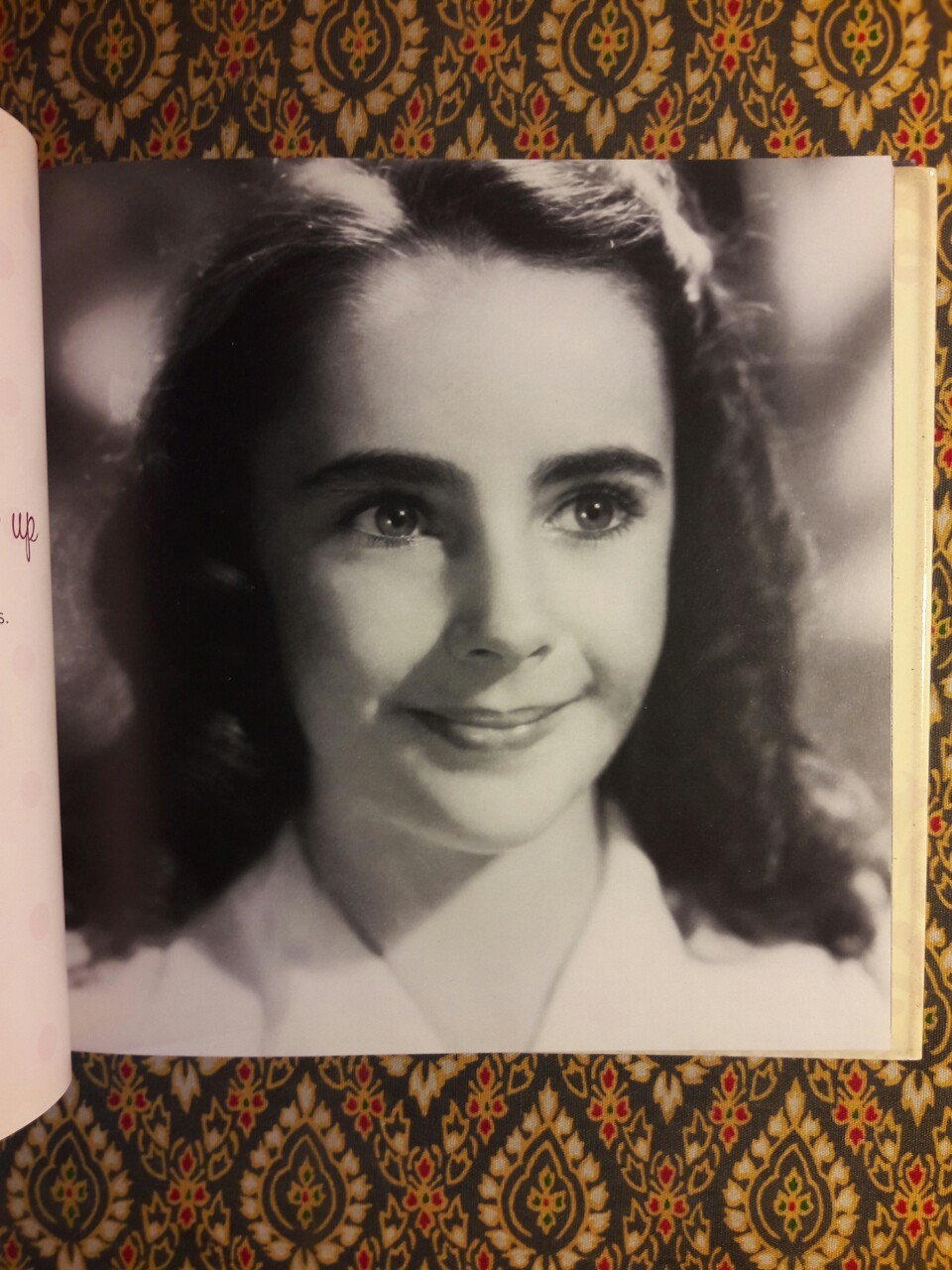 Elizabeth Taylor: A Loving Tribute