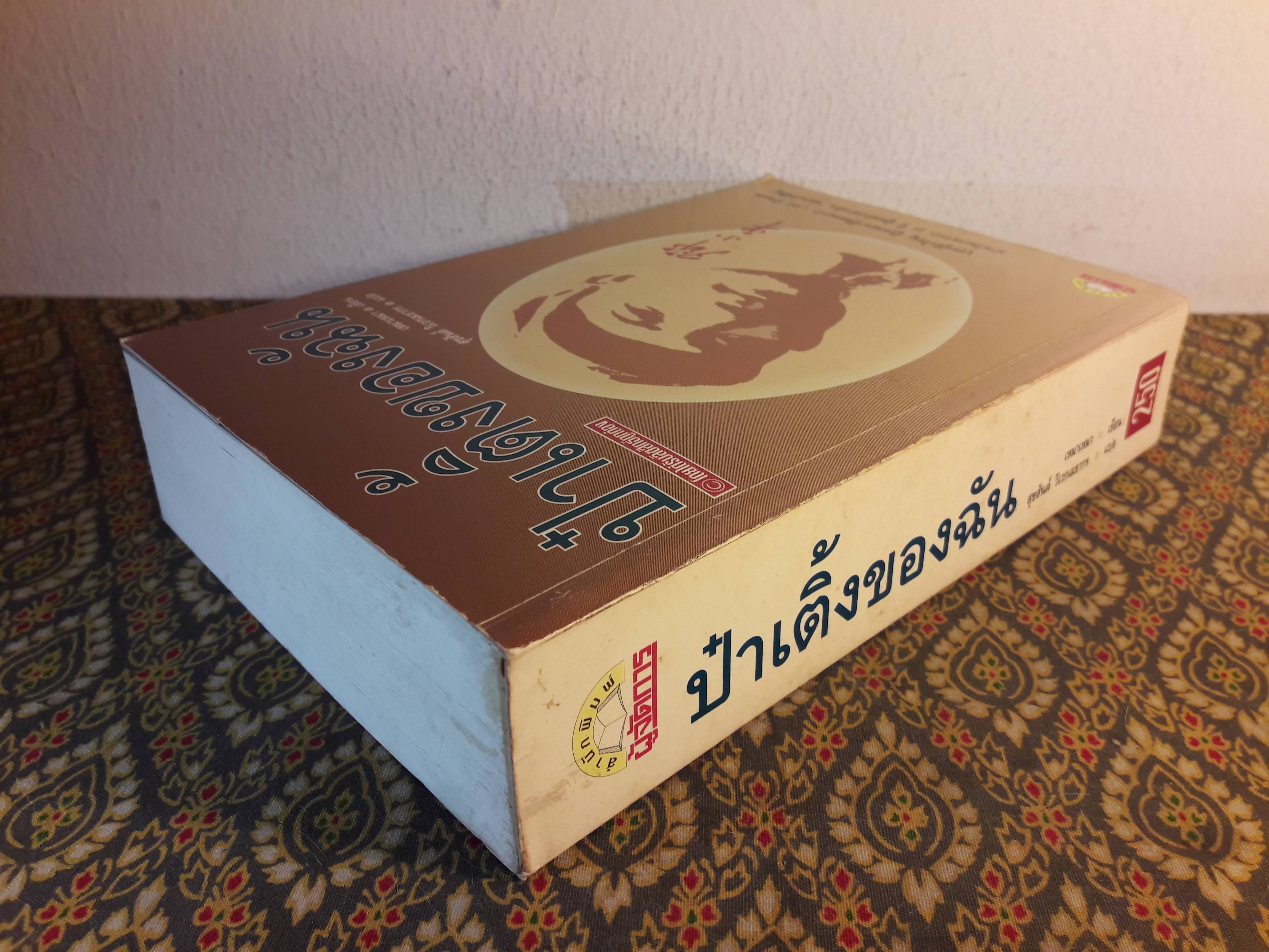 ป๋าเติ้งของฉัน