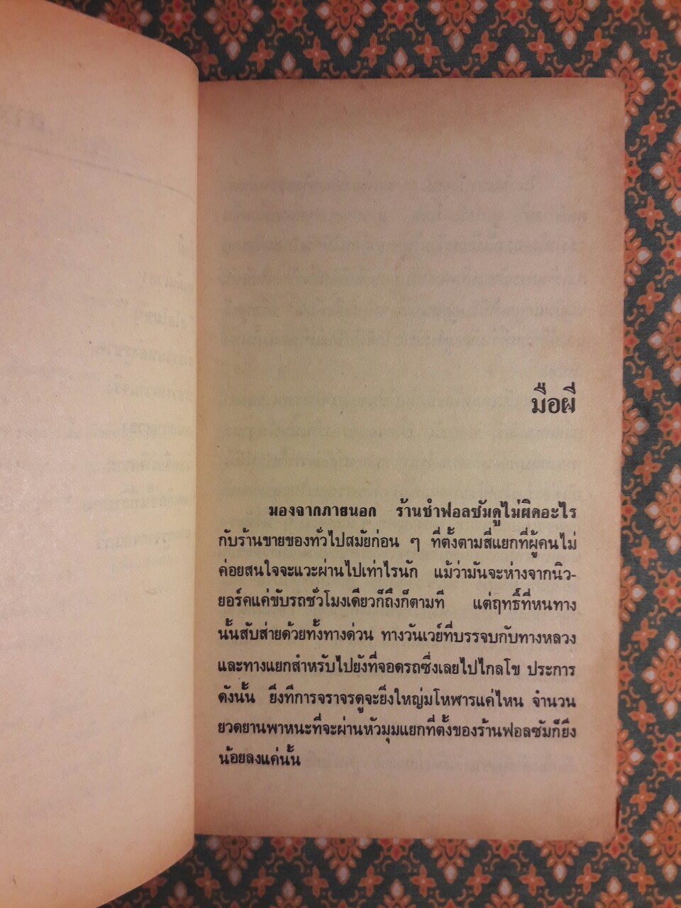 บันทึกจากแดนสนธยา