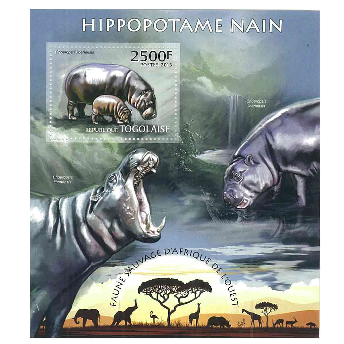 Togo Stamp, 2013 Pygmy Hippopotamus, Wildlife, Animals S/S