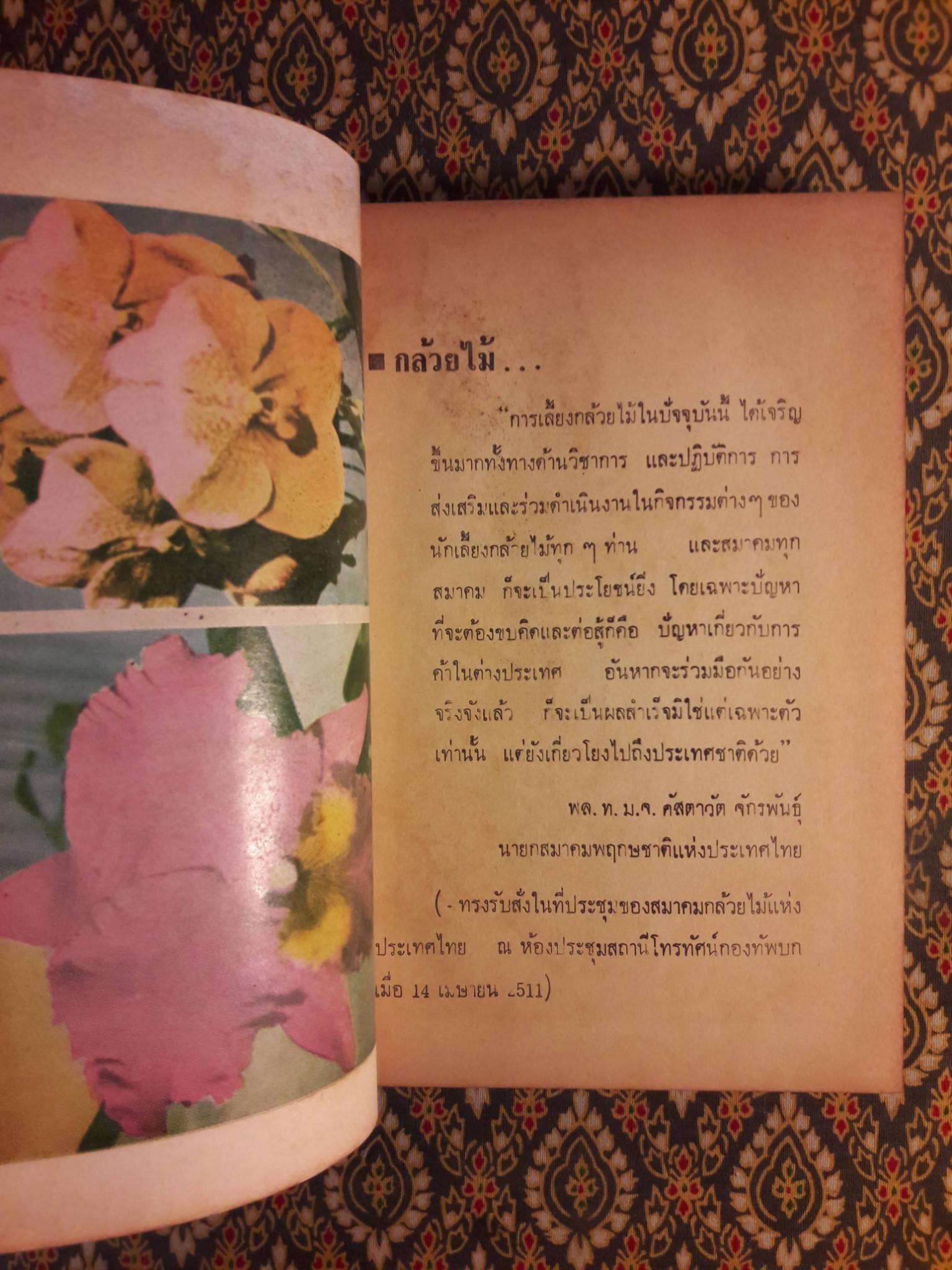 วิธีปลูกและผสมพันธ์กล้วยไม้ไทยและต่างประเทศ Orchids Growing