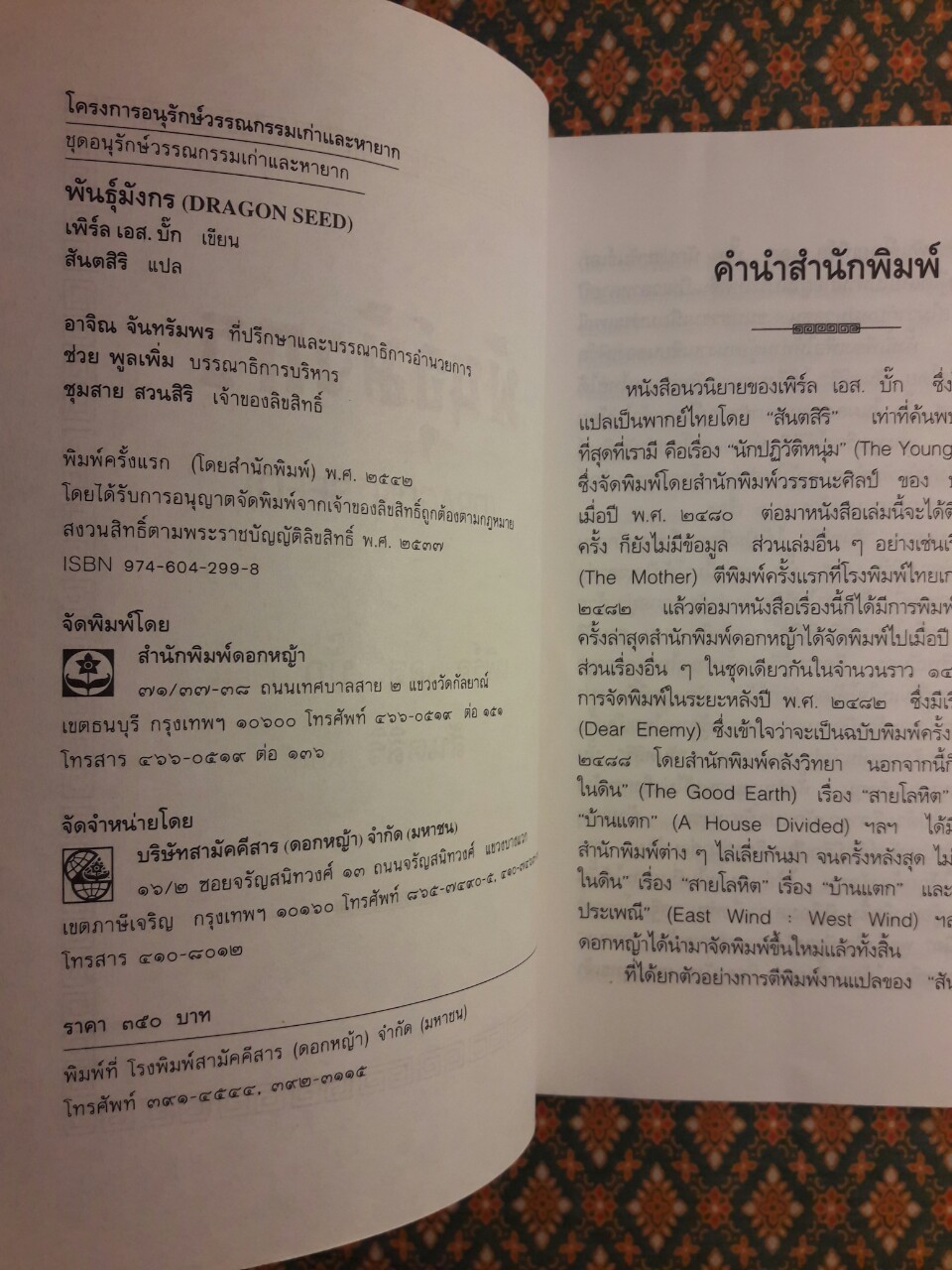 พันธุ์มังกร Dragon Seed