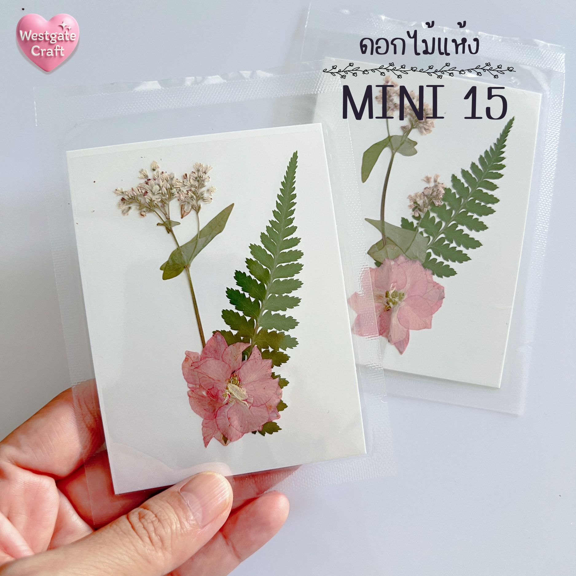 รวมดอกไม้แห้ง Mini ดอกไม้แห้งทับ ดอกไม้แบบคละ ดอกไม้จริง ดอกไม้งานฝีมือ