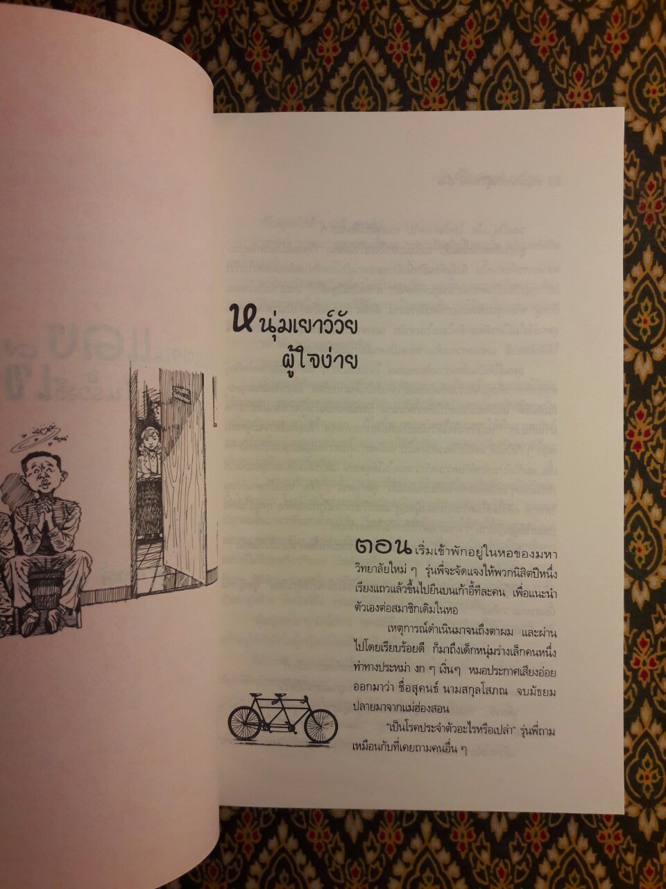 จักรยานแดงในรั้วสีเขียว