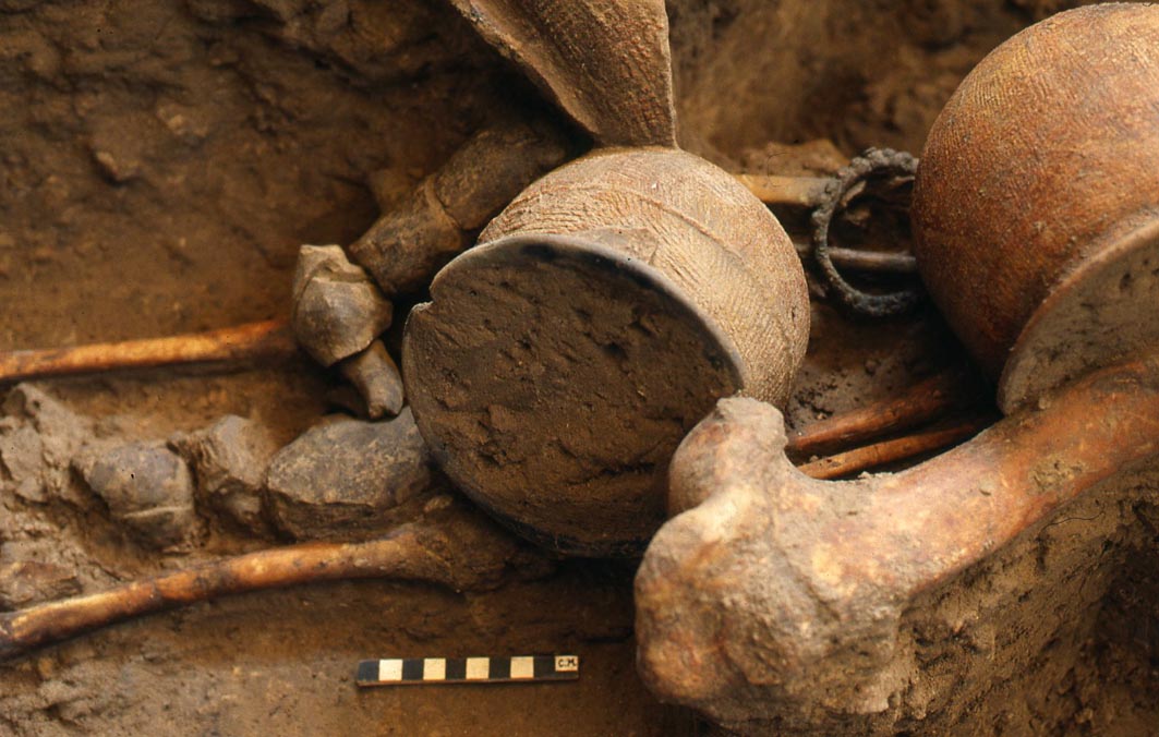 RiverBooks หนังสือประวัติศาสตร์ : Digging Deep