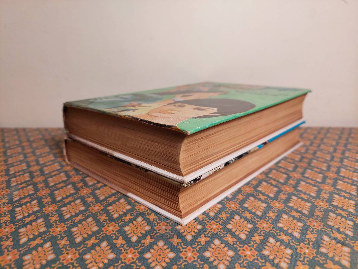 เลือดลูกทุ่ง (2 เล่มจบ)