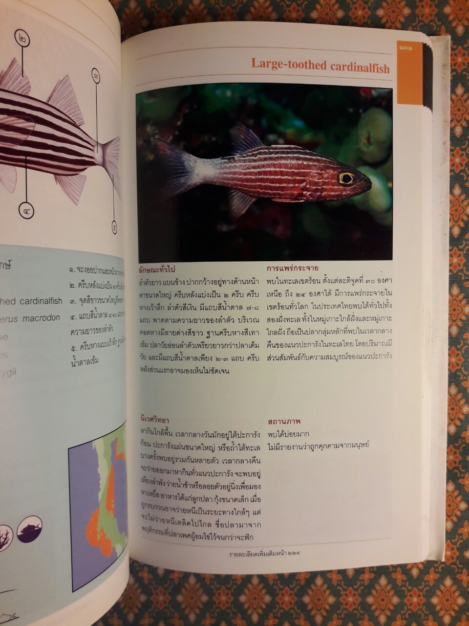 ปลาทะเลไทย เล่ม 1 “พร้อมซีดี”