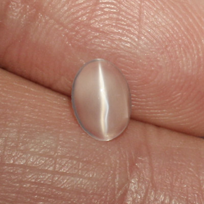 **ขายแล้ว**มูนสโตนตาแมว หรือ มุกดาหารตาแมว (Cat's eye Moonstone) 0.64 กะรัต สีขาว รูปไข่ เล็กๆน่ารัก