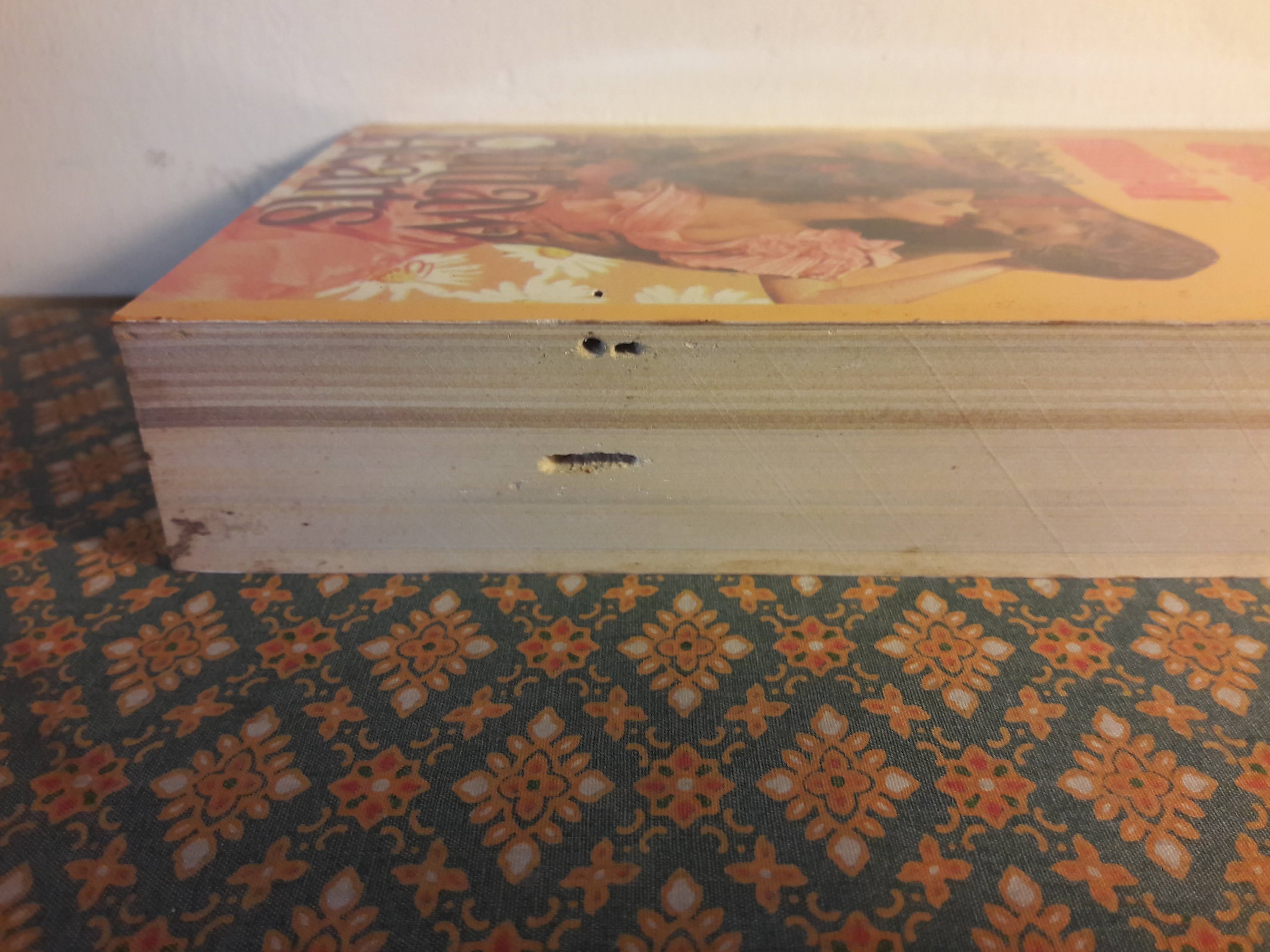 ยอดรักคนเถื่อน THE OUTLAW HEARTS