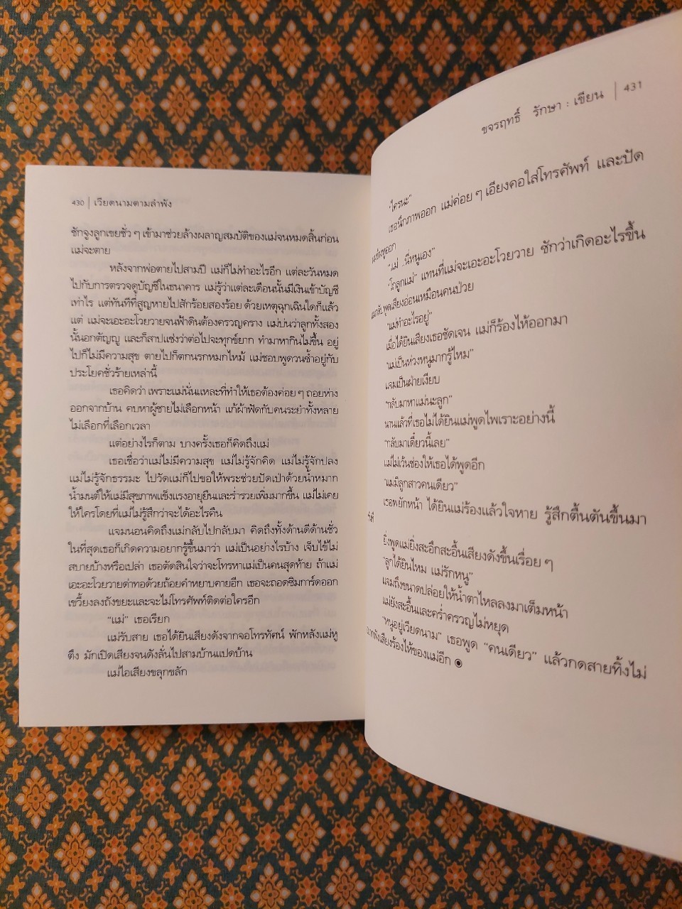 เวียดนามตามลำพัง