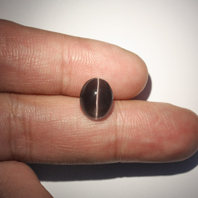 **ขายแล้ว**ซิลลิมาไนท์ตาแมว (Cat's eye Sillimanite) 4.34 กะรัต สีเทา ตาคม รูปไข่