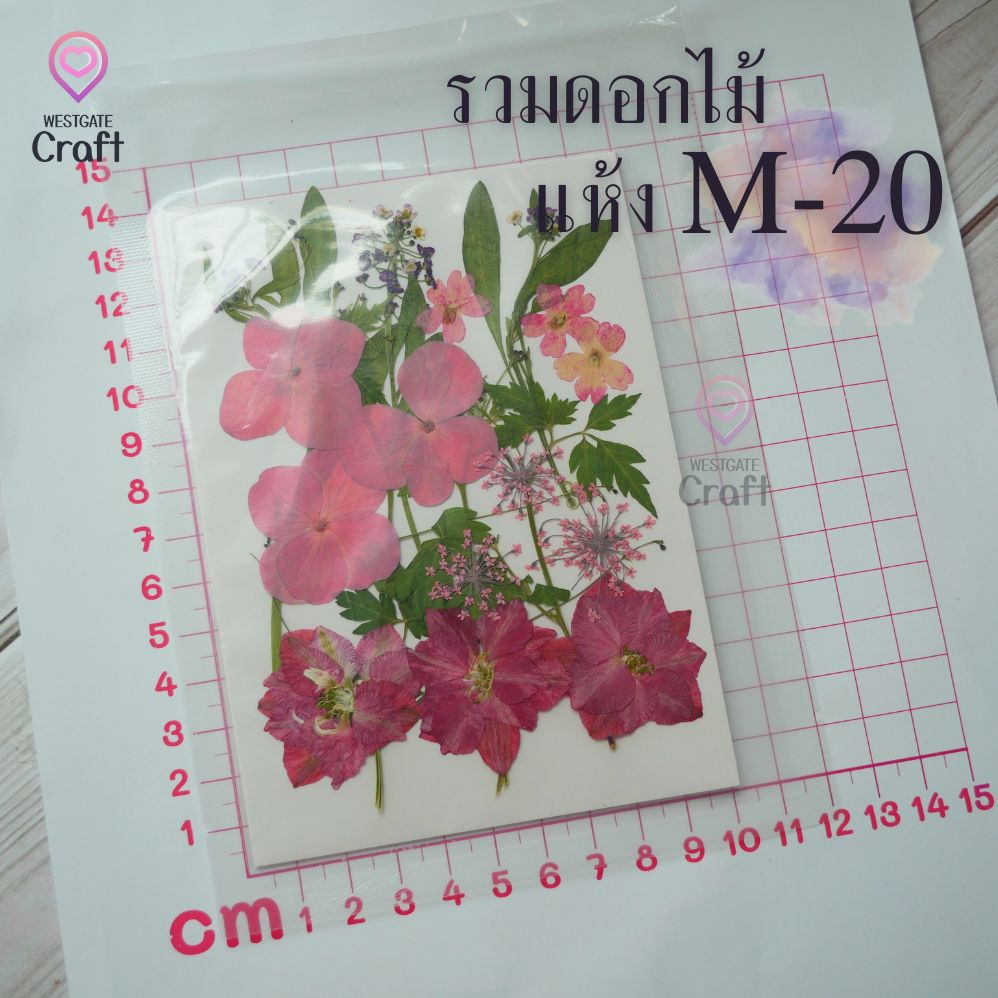 รวมดอกไม้แห้ง M ดอกไม้แห้งทับ ดอกไม้แบบคละ