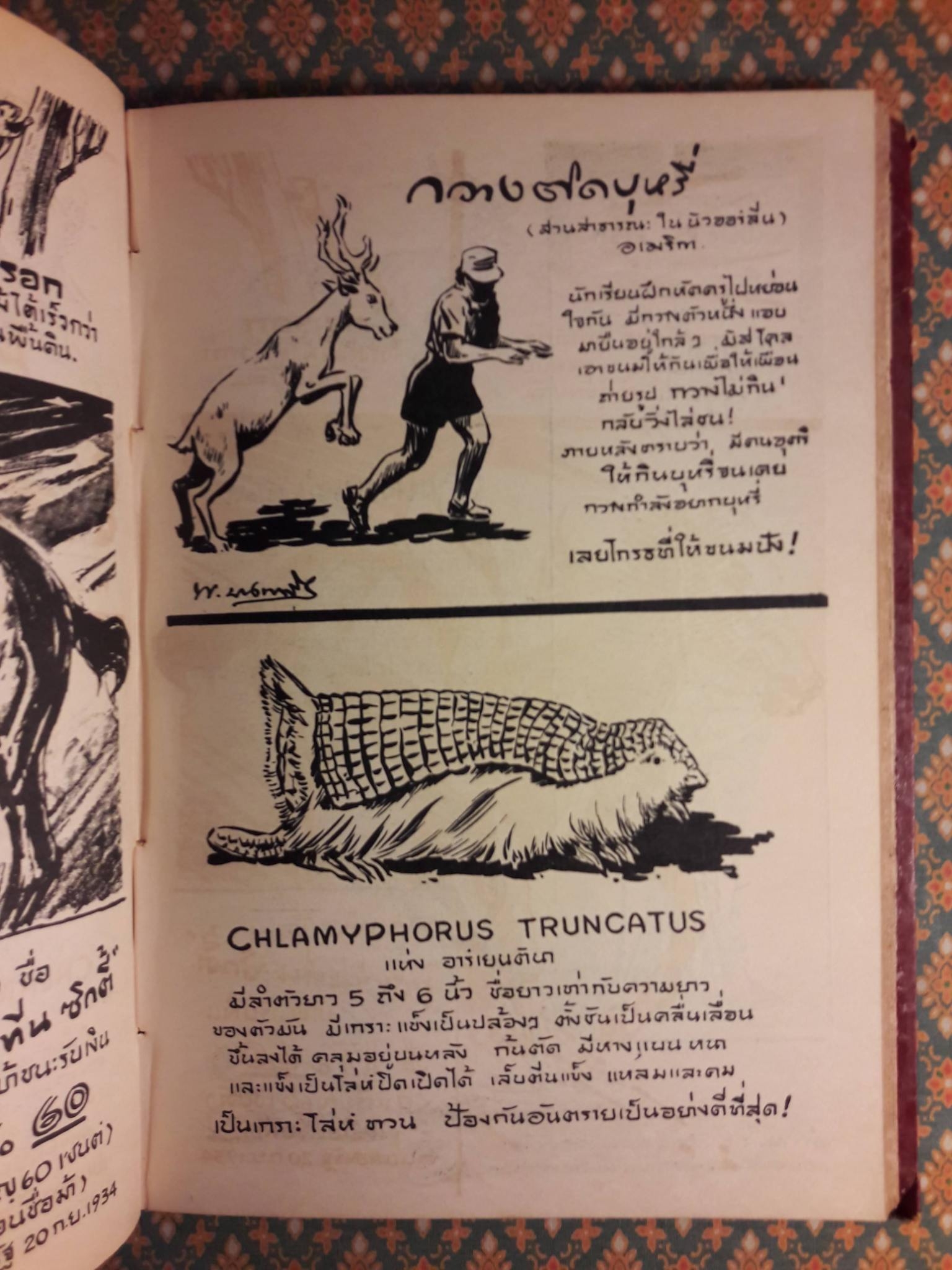 แปลกแต่จริง เชื่อหรือไม่?